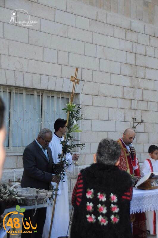 masrira latinyafa (3).JPG